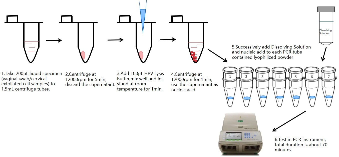 图片3 Kit PCR