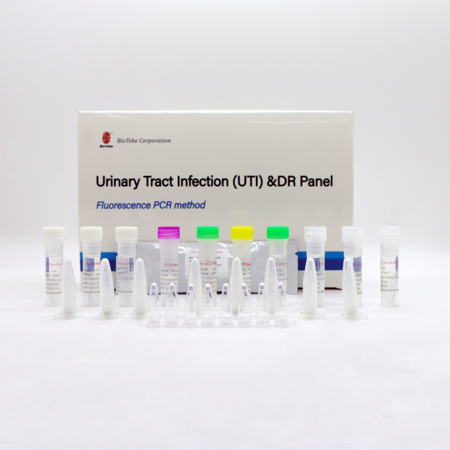 Panel Infection des voies urinaires (IVU) et DR (méthode PCR par fluorescence) 