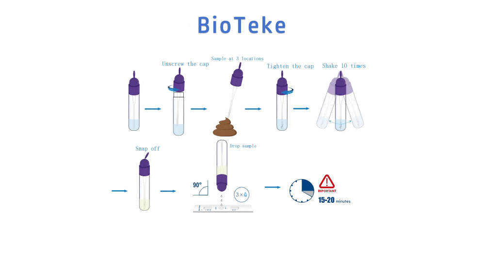 processus de test du virus Rota Adeno Noro