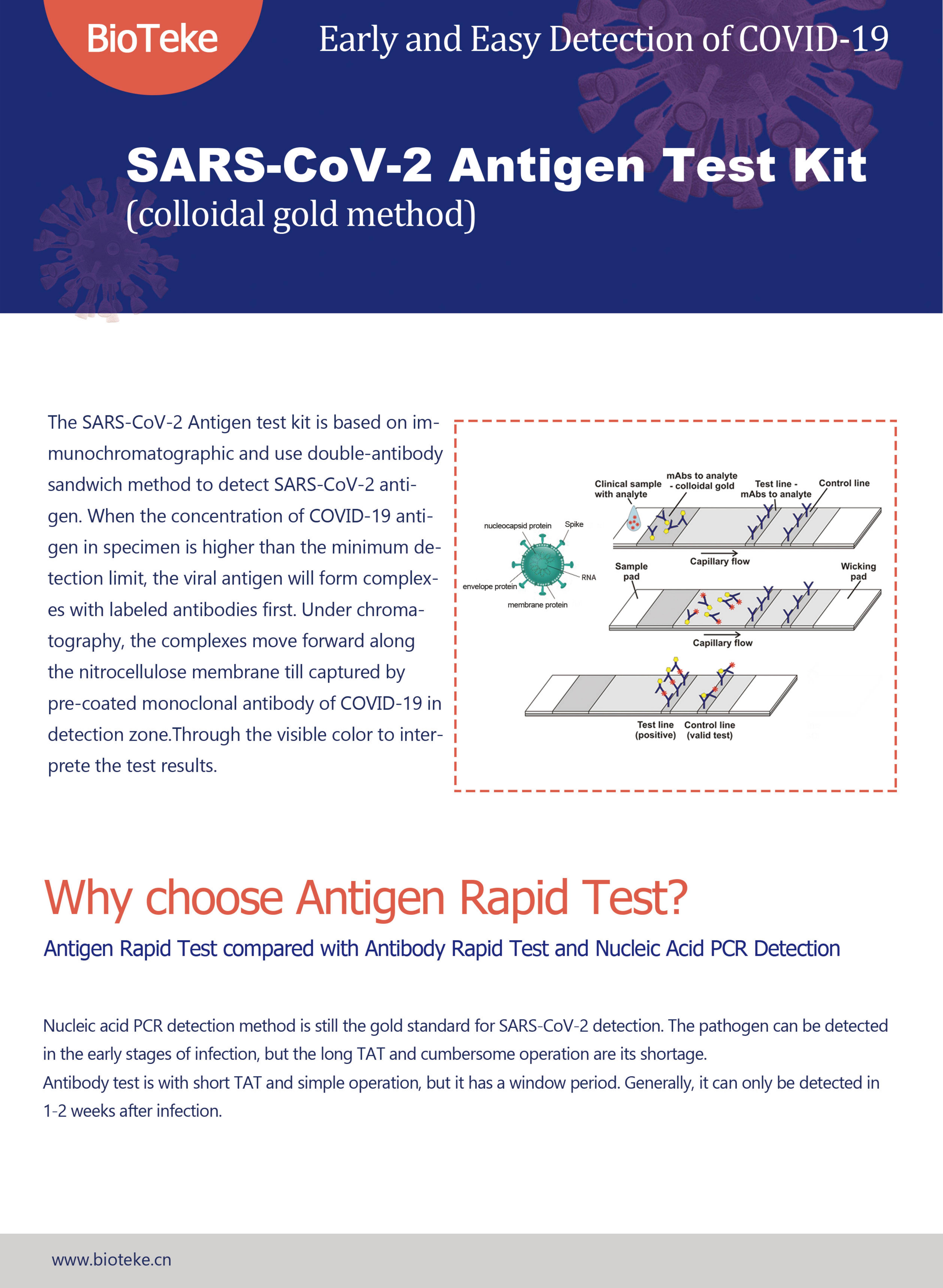 Test d'antigène Kit-Bioteke (2021.3.16) _00