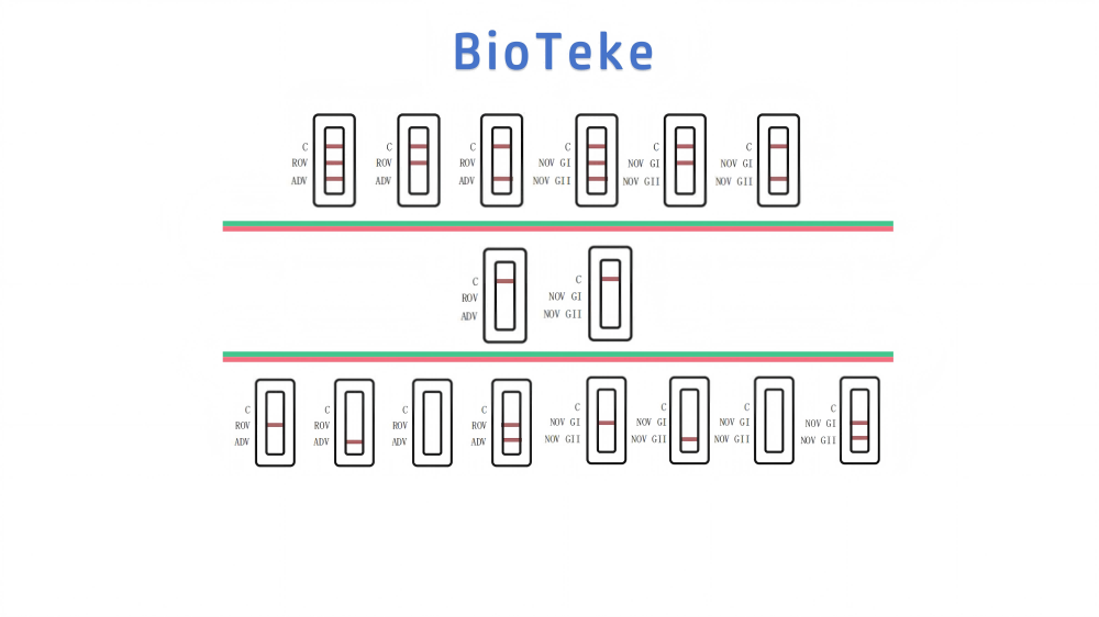 résultats des tests du virus Rota Adeno Noro