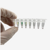 Réactif d'examen PCR d'utilisation de laboratoire de forme de poudre approuvé CE