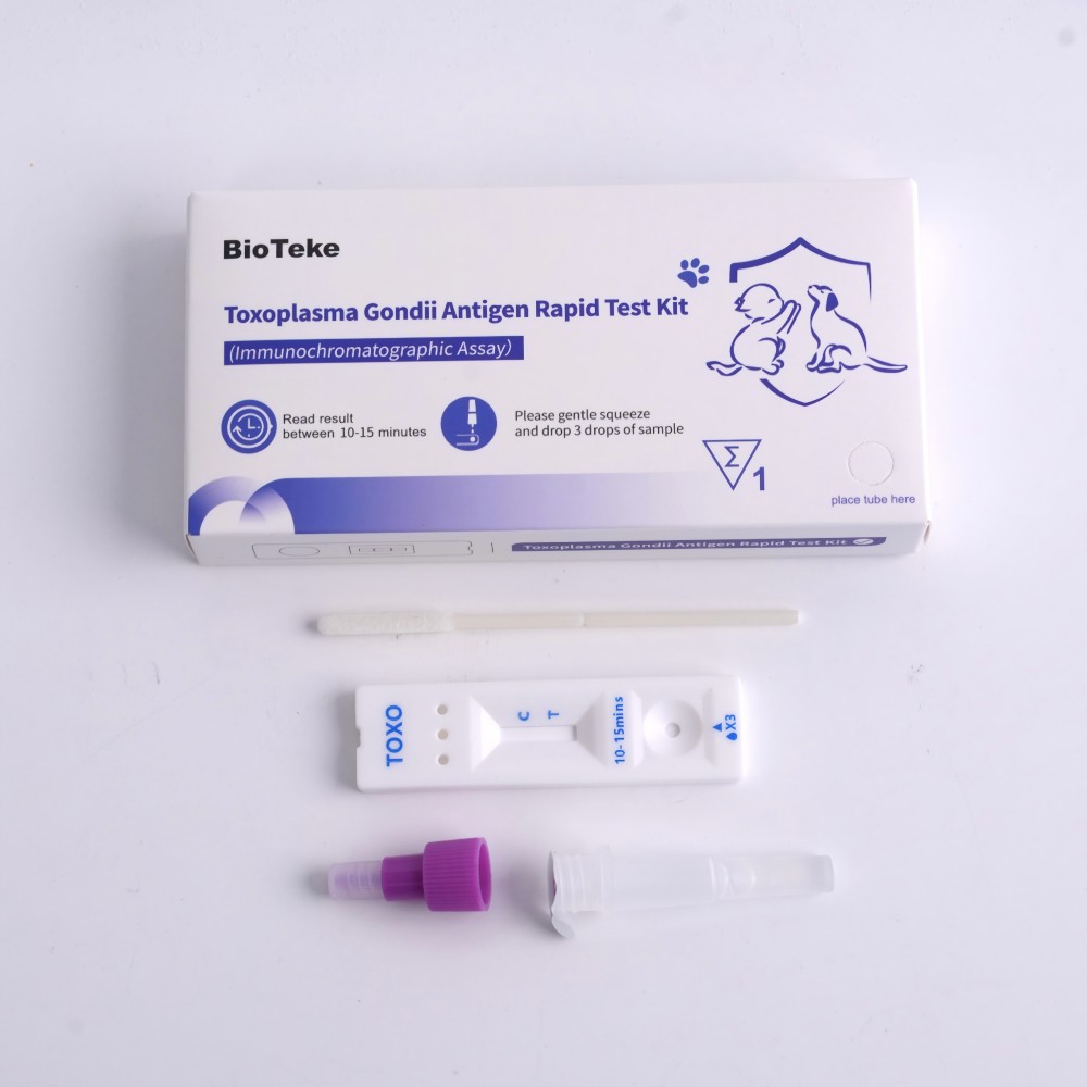 Kit de test Toxoplasma gondii 