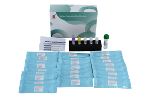 Kit de détection de génotypage HPV du Papillomavirus humain (méthode de PCR de fluorescence) 