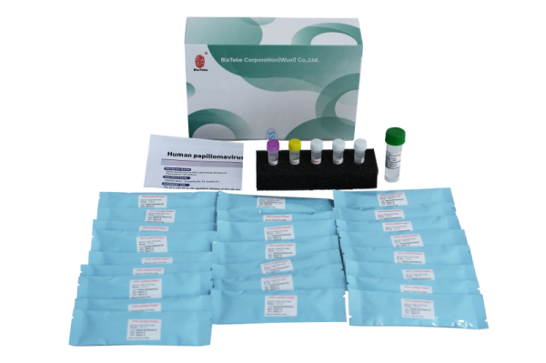 Kit de génotypage HPV