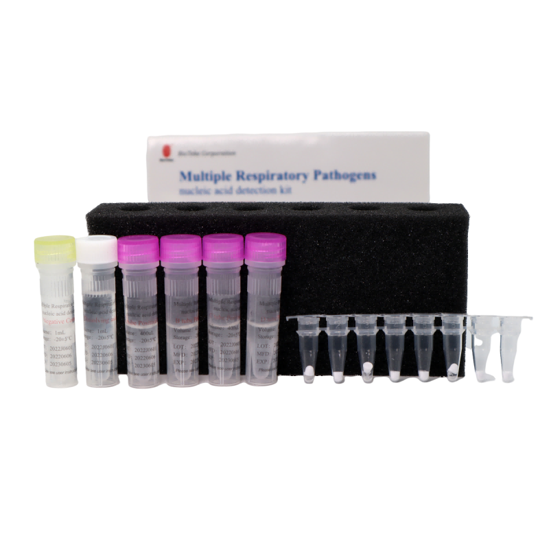 Bioteke Kit de détection d'acide nucléique de pathogènes respiratoires multiples (méthode de PCR par fluorescence)