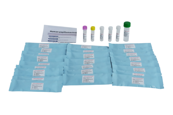 Kit de détection de génotypage du papillomavirus humain (HPV) PR2026-HP01 (méthode de PCR par fluorescence)